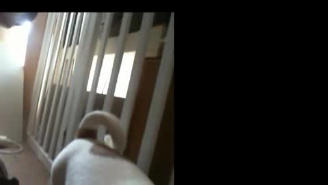 10mm_socket online show from February 2026 06:07:01 AM