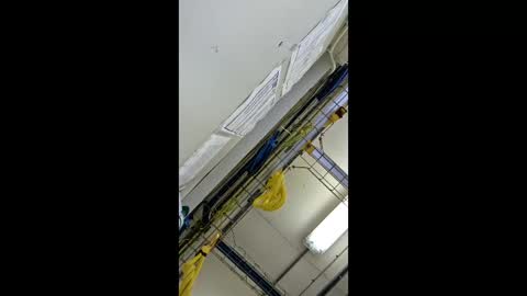 1971berliner online show from February 2026 12:03:01 PM