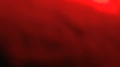 rockhead1953 online show from February 2026 12:00:01 PM