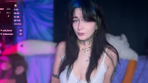 Teya online show from April 2026 07:11:02 AM