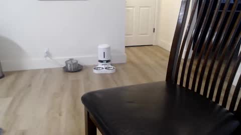 i erupt if you suck ur nipples 4 me and look at the camera while watching me online show from November 2025 02:59:02 PM