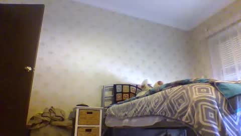 23player online show from January 2026 12:38:01 AM