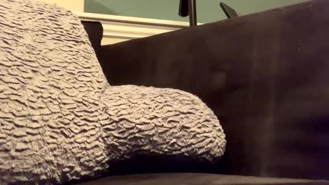 25923 online show from January 2025 11:58:02 PM