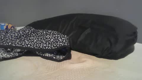 cheif online show from September 2025 11:50:02 PM