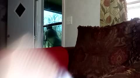 BlacJewels online show from February 2026 04:16:01 PM