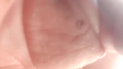 Thisguy online show from February 2025 07:24:02 PM