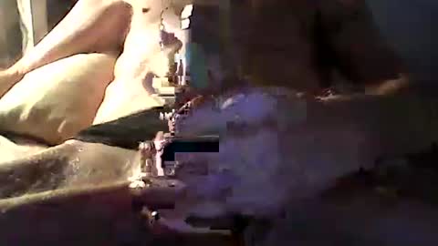 Zeus online show from April 2026 10:54:02 AM