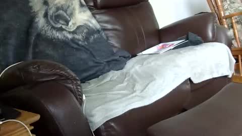 66bear online show from December 2025 03:28:02 PM