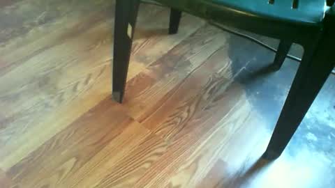 69forever453443 online show from November 2025 01:22:01 PM