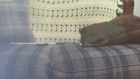 69sextoyboy69 online show from January 2025 03:41:01 PM