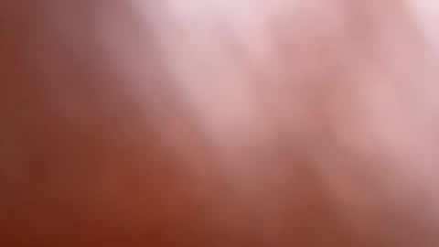 bob big head online show from March 2025 06:29:01 AM