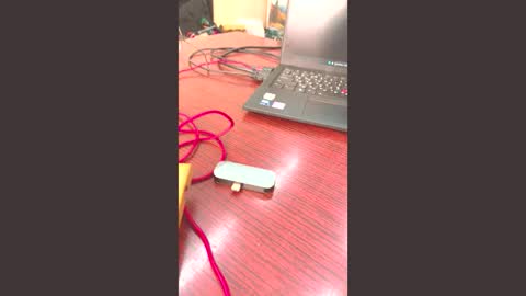 bob big head online show from February 2026 11:11:01 AM