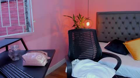 Snapshot of _aline_hall chatting on January 2025 11:35:01 AM Alline Hall online show from January 2025 11:35:01 AM