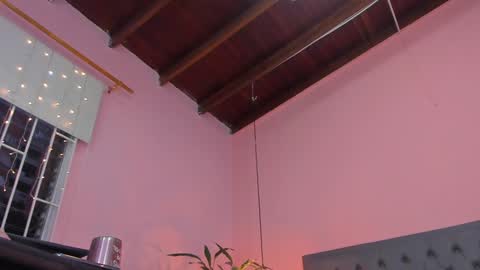 Snapshot of _aline_hall chatting on February 2025 11:12:02 AM Alline Hall online show from February 2025 11:12:02 AM