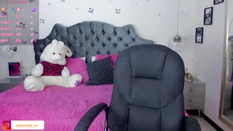 antonnela online show from February 2025 01:47:02 PM