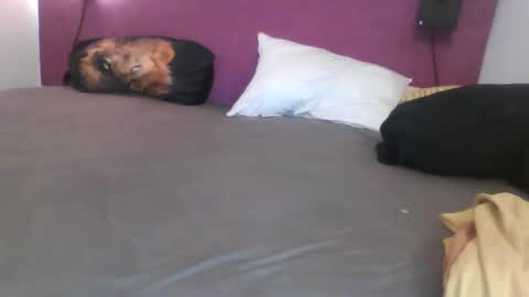 _bertl_ online show from October 2025 08:36:02 PM