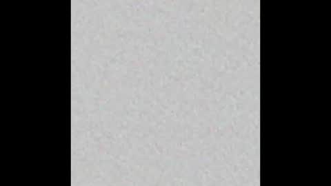 Brenda online show from October 2025 11:09:02 AM