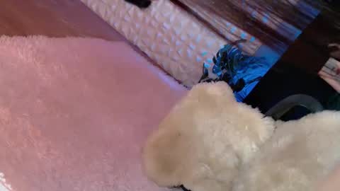 Caroline online show from March 2025 06:32:02 AM