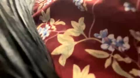 Snapshot of _catalina_linda_ok chatting on October 2025 06:41:02 AM _catalina_linda_ok online show from October 2025 06:41:02 AM