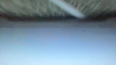 _direwolf_ online show from February 2026 10:59:01 AM