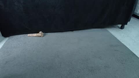 Miss Jade online show from October 2025 11:32:02 AM