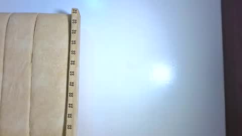 Littlevenus online show from February 2026 02:53:01 AM