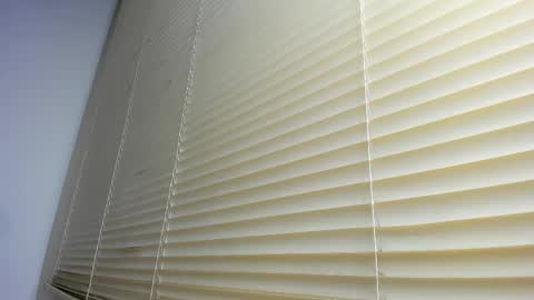 _molly_rosse_ online show from December 2025 12:14:02 PM