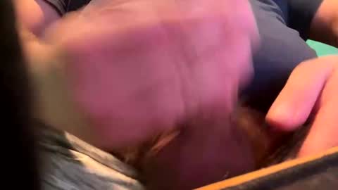 Snapshot of _peterson_ chatting on January 2025 10:24:01 PM _peterson_ online show from January 2025 10:24:01 PM