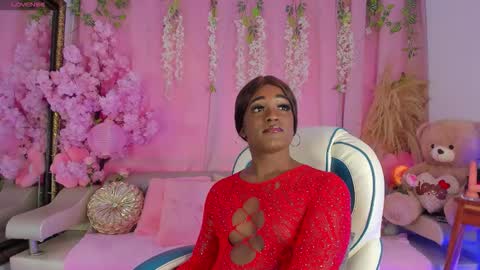 Sammy online show from November 2025 03:34:02 PM