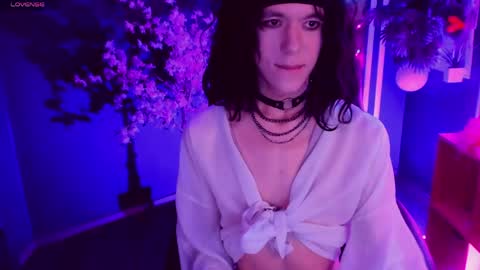 Snapshot of _shinmei_ chatting on June 2026 06:52:02 AM Shin online show from June 2026 06:52:02 AM