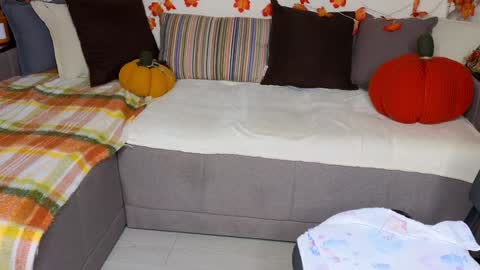 Alice online show from December 2024 10:22:01 AM