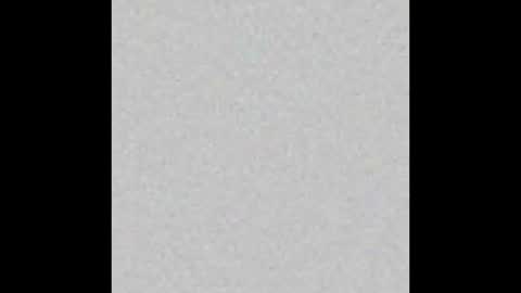    online show from November 2025 11:54:01 PM