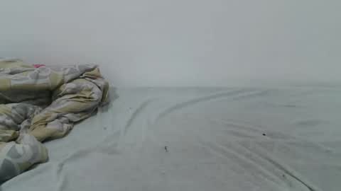 Talia online show from December 2024 06:35:02 PM