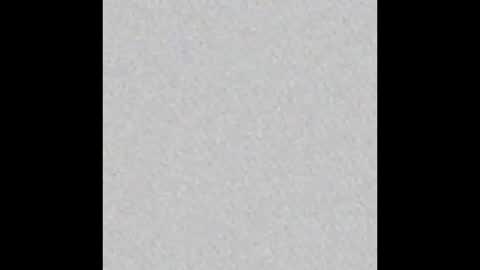 _tammarra_ online show from January 2026 12:29:02 PM