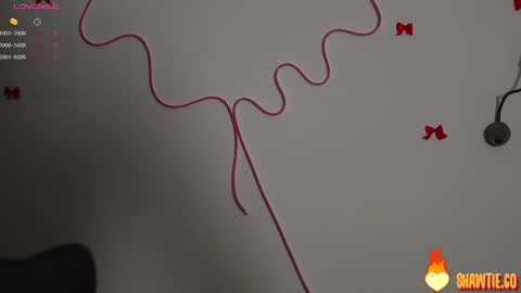 Snapshot of _taylor_swift chatting on February 2025 09:38:01 AM Taylor online show from February 2025 09:38:01 AM