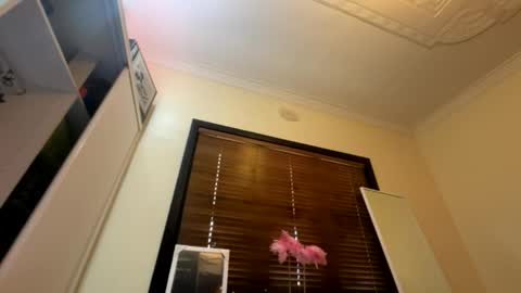 Snapshot of _turb0_tr4sh_ chatting on June 2026 03:00:02 AM _turb0_tr4sh_ online show from June 2026 03:00:02 AM
