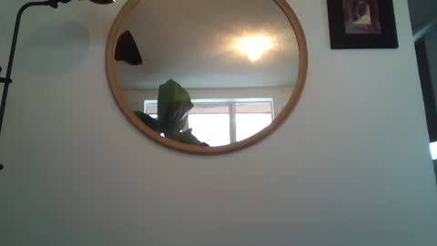 _tutti_frutti_ online show from July 2026 07:16:01 PM
