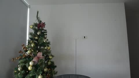 Snapshot of _vahos chatting on December 2024 05:44:02 PM Anastasia Vahos online show from December 2024 05:44:02 PM