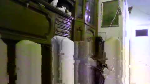 a203530 online show from February 2026 08:53:02 AM