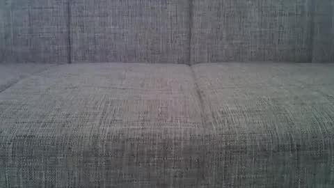 Snapshot of a7469 chatting on February 2025 11:27:01 AM XXL online show from February 2025 11:27:01 AM