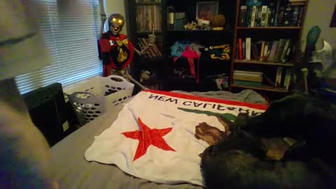 Snapshot of a_bored_dragon chatting on March 2025 03:56:01 PM A Bored Dragon online show from March 2025 03:56:01 PM