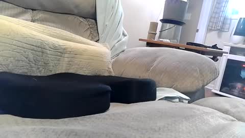 Snapshot of abe_froman2007 chatting on December 2025 07:53:02 PM abe_froman2007 online show from December 2025 07:53:02 PM