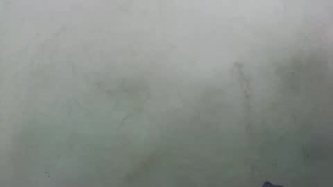 abella677022 online show from February 2026 08:16:01 PM