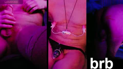 absulent online show from November 2025 11:30:01 AM