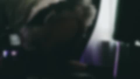 absulent online show from December 2025 10:02:01 AM