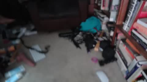 aCACiAs2022 online show from March 2026 01:24:01 PM