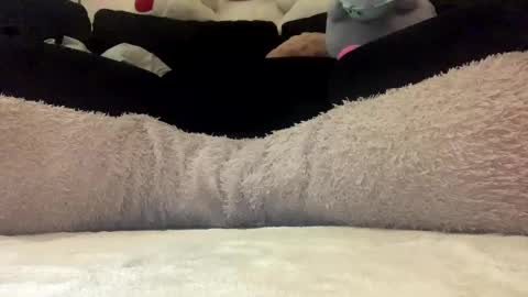 ENIGMA TZX5114 online show from March 2025 11:20:01 AM