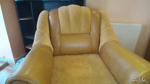 Snapshot of adda_ chatting on September 2025 08:52:01 AM Adda online show from September 2025 08:52:01 AM