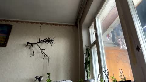 vegans taste better online show from October 2025 06:14:01 AM