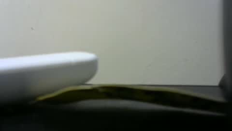 Snapshot of africanlovei chatting on January 2025 06:01:02 PM africanlovei online show from January 2025 06:01:02 PM